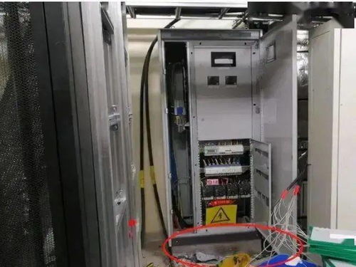 害人害己 麻痹違章不理會(huì),危險(xiǎn)就在咫尺間