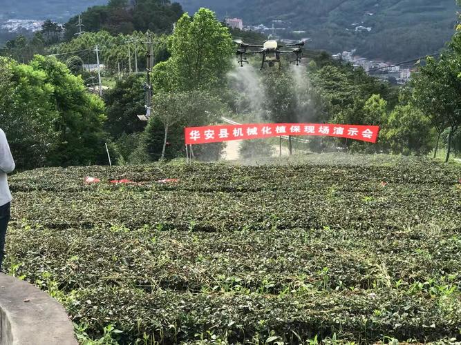 茶葉機械化植保 華安縣2021年特色產業演示會助力茶產業升級